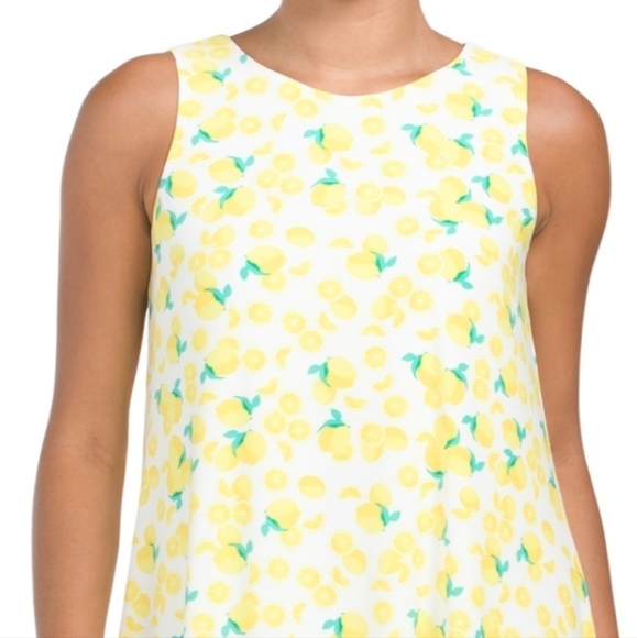 𝅺pappagallo Gwen Fully lined Lemon Print Dress - Picture 3 of 15